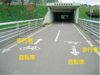 写真：サイクリングロード
